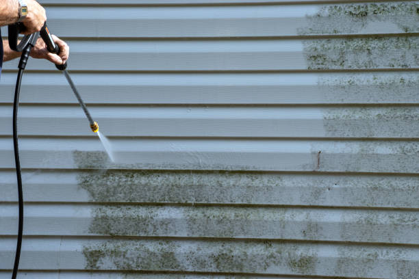 Best Shed Removal  in Goshen, IN
